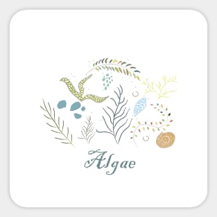 Algae Sticker